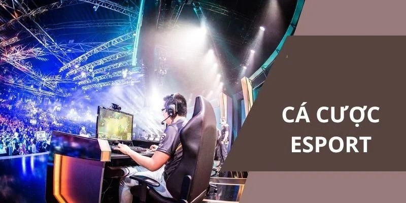 Những thể loại cá cược Esports được ưa chuộng nhất 2025