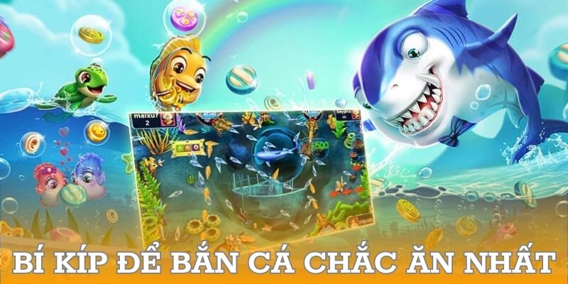 Mẹo săn cá được cao thủ lâu năm hướng dẫn chi tiết