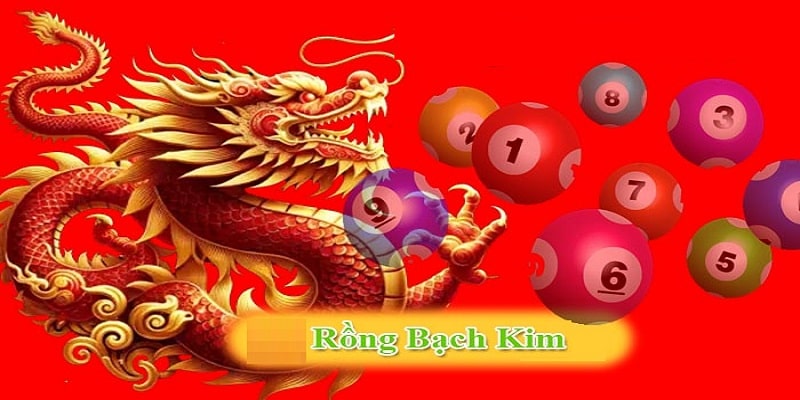 Tìm hiểu tổng quan về khái niệm Rồng Bạch Kim